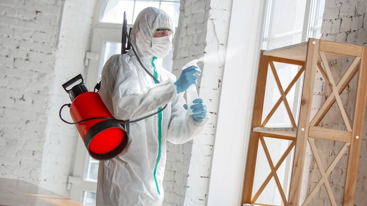 رقم شركة رش مبيدات بجدة