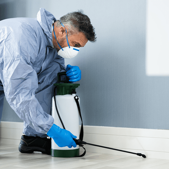 افضل شركة رش مبيدات ومكافحة حشرات بجدة