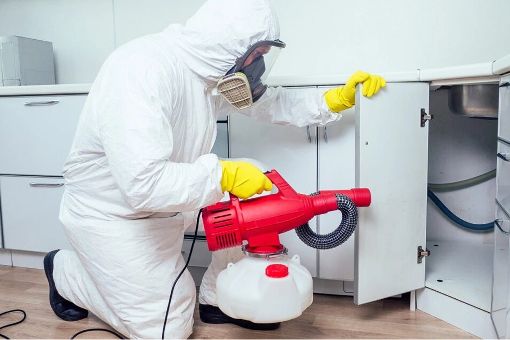 شركة مكافحة الصراصير بجدة بأفضل سعر